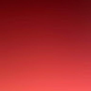 Meet your Posher, Phoenix